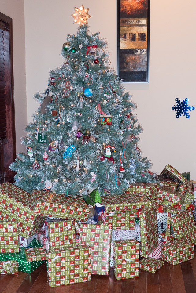 Christmas---New-Years-2015-US---IMG-1020465.jpg