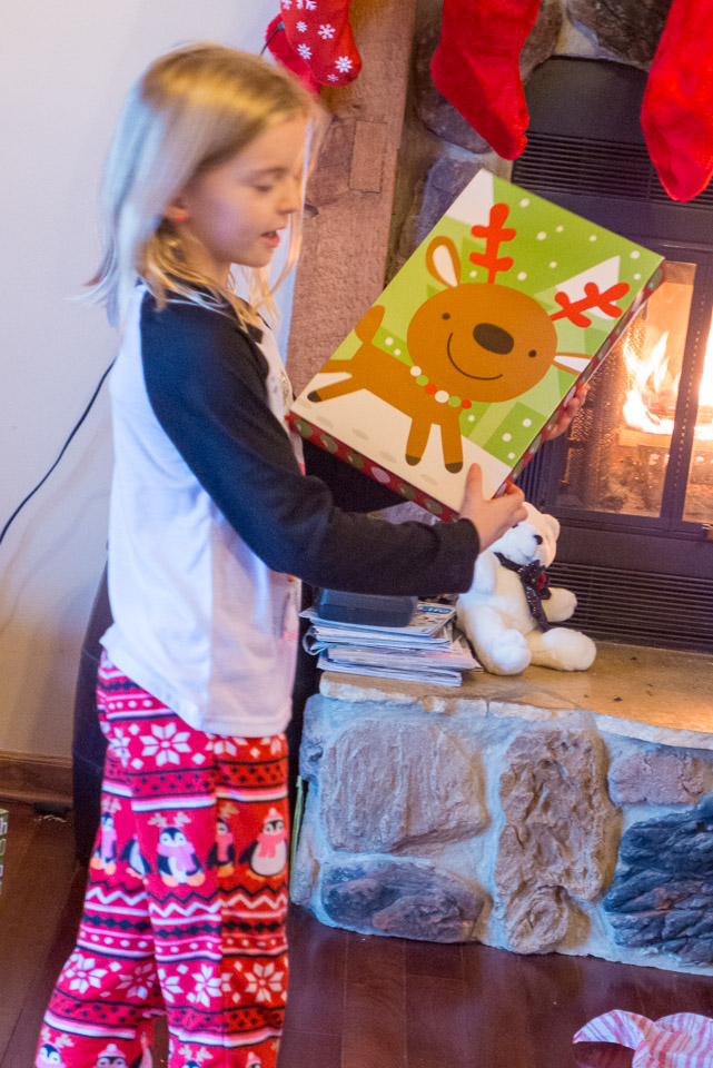 Christmas---New-Years-2015-US---IMG-1020472.jpg