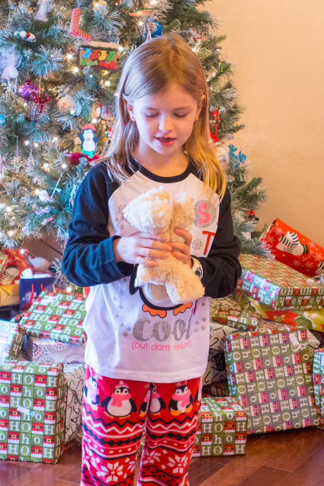 Christmas---New-Years-2015-US---IMG-1020473.jpg
