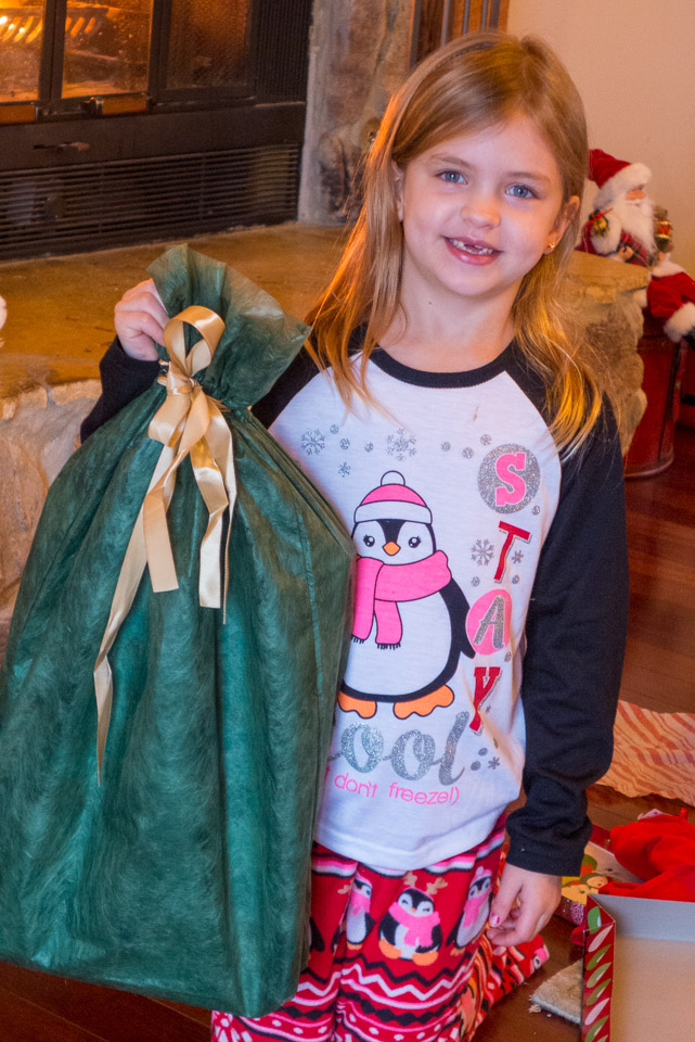 Christmas---New-Years-2015-US---IMG-1020477.jpg