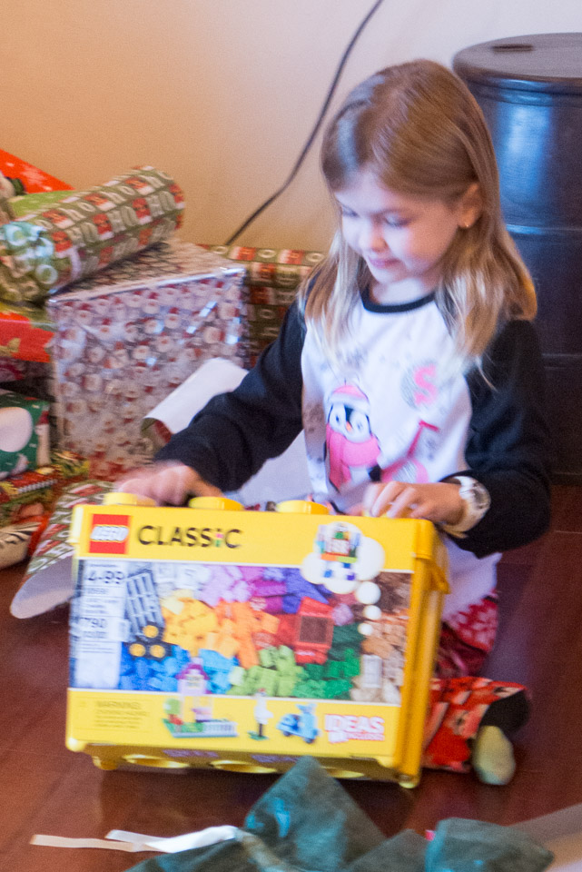 Christmas---New-Years-2015-US---IMG-1020480.jpg