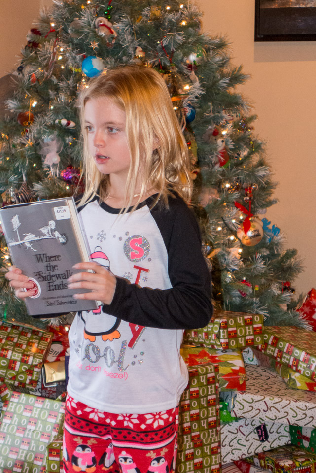 Christmas---New-Years-2015-US---IMG-1020481.jpg