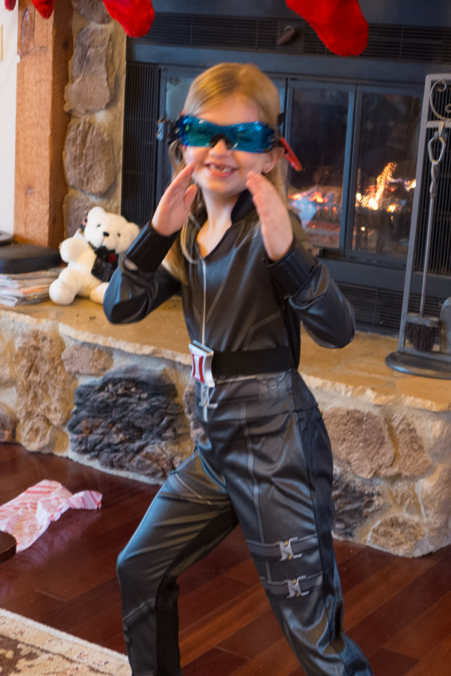 Christmas---New-Years-2015-US---IMG-1020486.jpg