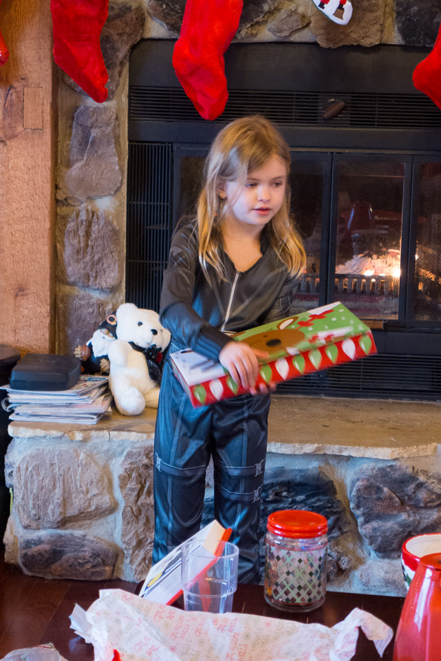 Christmas---New-Years-2015-US---IMG-1020487.jpg