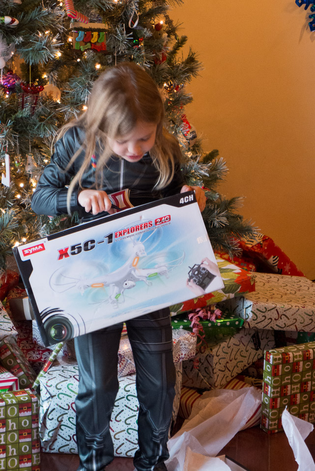 Christmas---New-Years-2015-US---IMG-1020488.jpg
