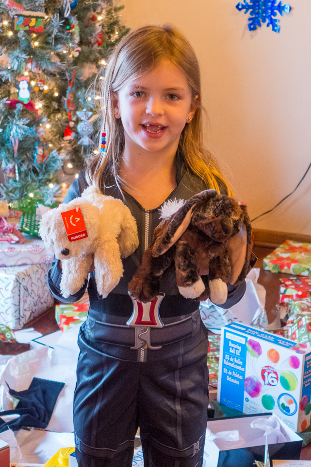 Christmas---New-Years-2015-US---IMG-1020493.jpg