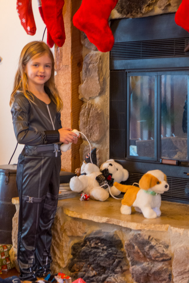 Christmas---New-Years-2015-US---IMG-1020494.jpg