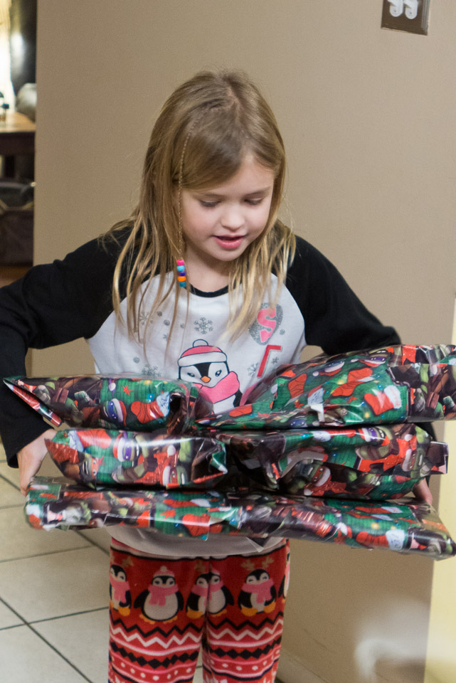 Christmas---New-Years-2015-US---IMG-1020505.jpg