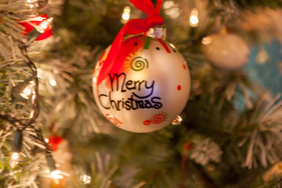 Christmas---New-Years-2015-US---IMG-9115.jpg