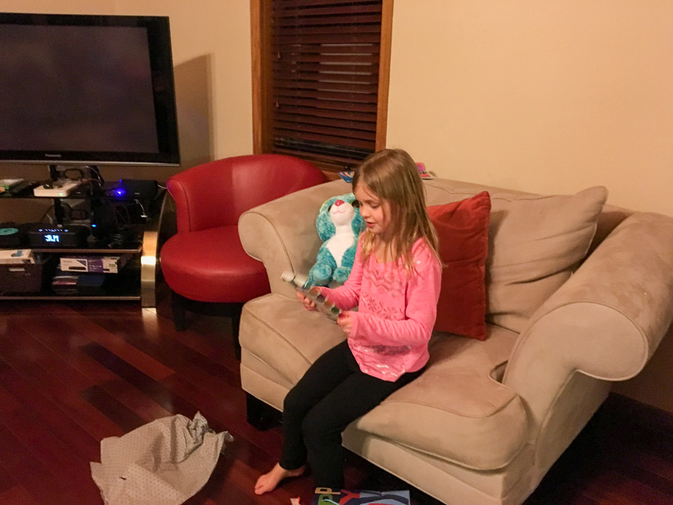 Dave-Family-2015-12---2016-12-IMG_0733.jpg