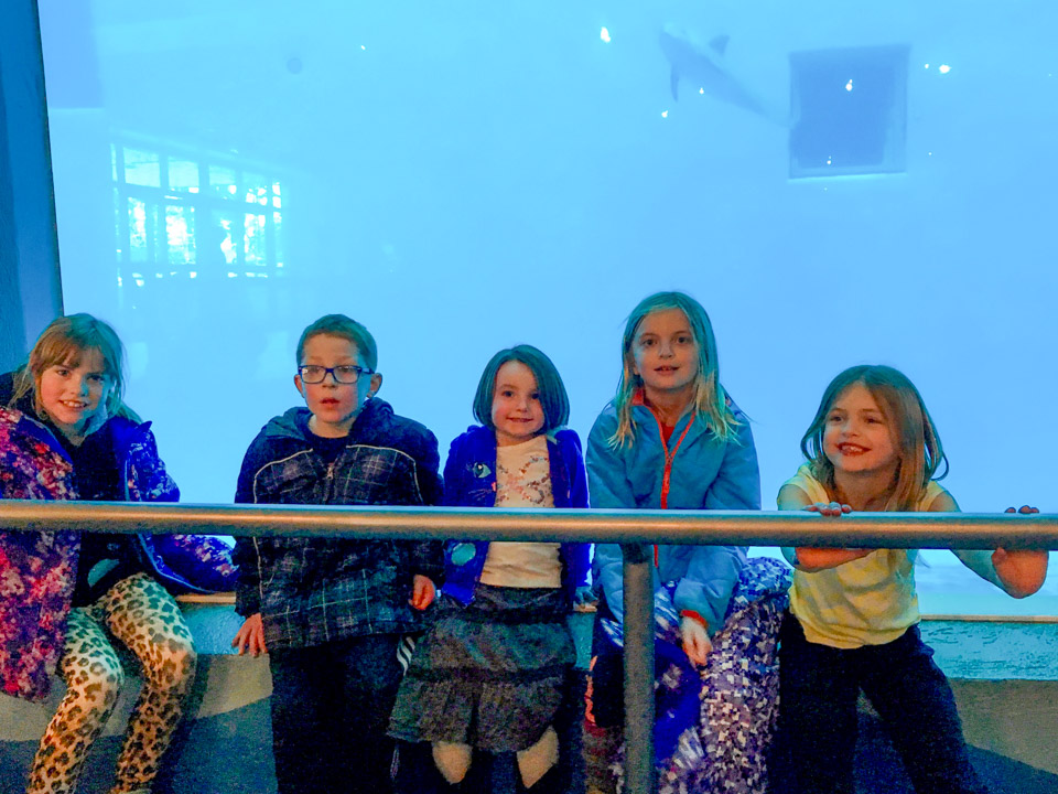 Dave-Family-2015-12---2016-12-IMG_0892.jpg