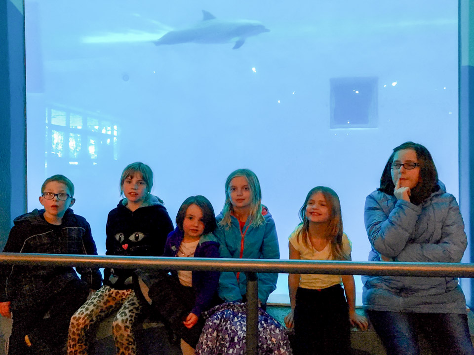 Dave-Family-2015-12---2016-12-IMG_0897.jpg