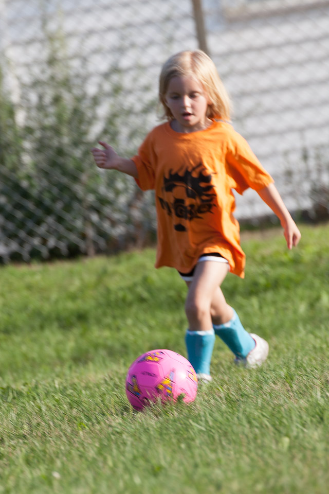 IMG_7998.jpg