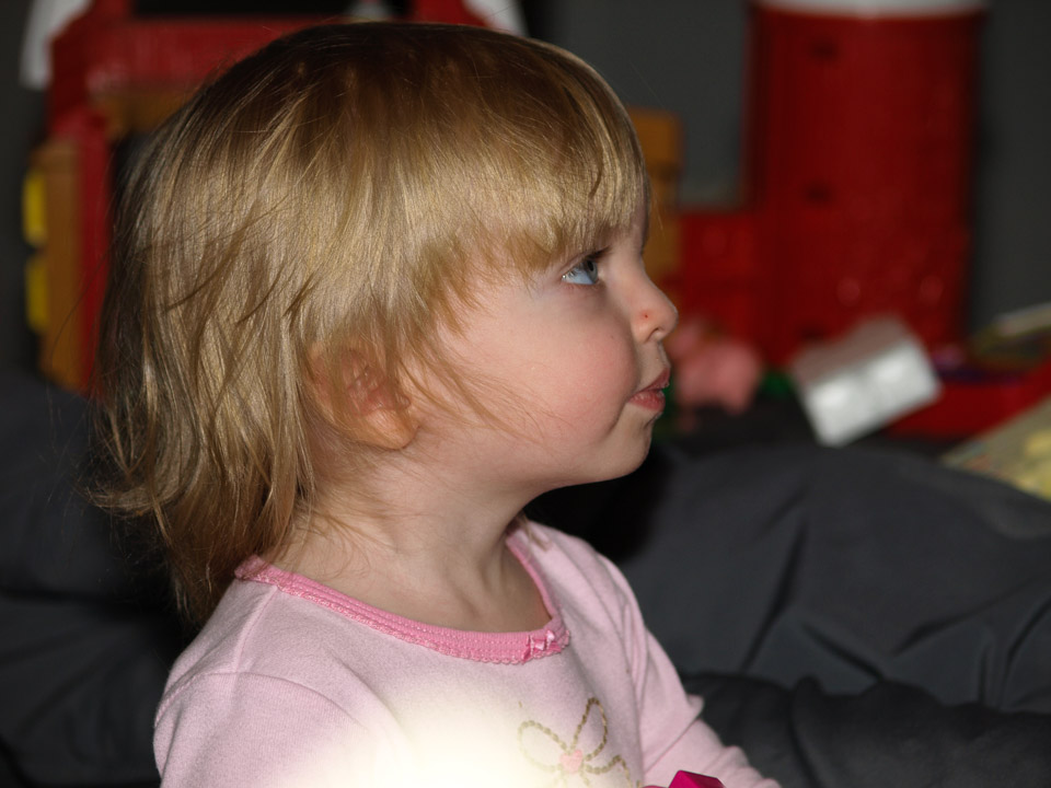 Lauren-and-Family-at-Christmas-2008-004.jpg
