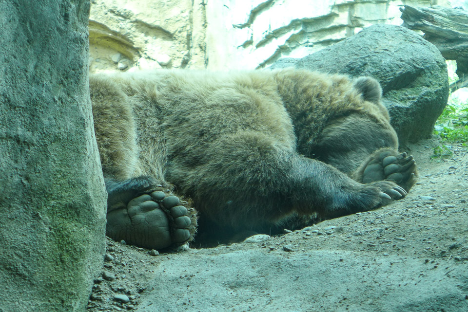 P1000763.jpg