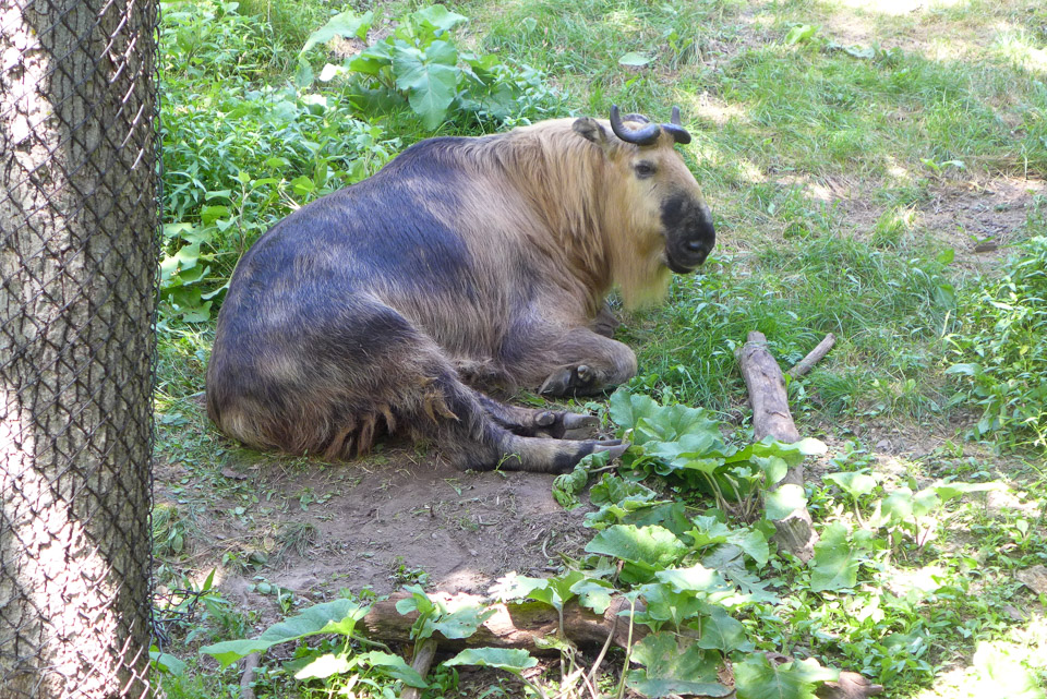 P1000771.jpg