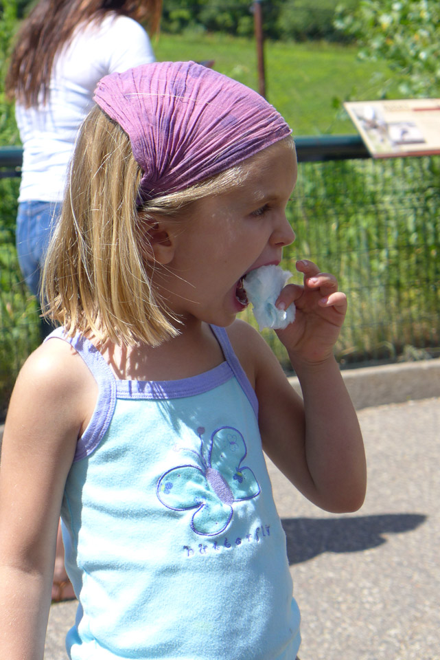 P1000776.jpg