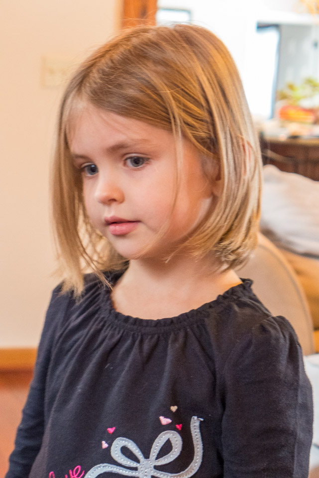P1010254.jpg