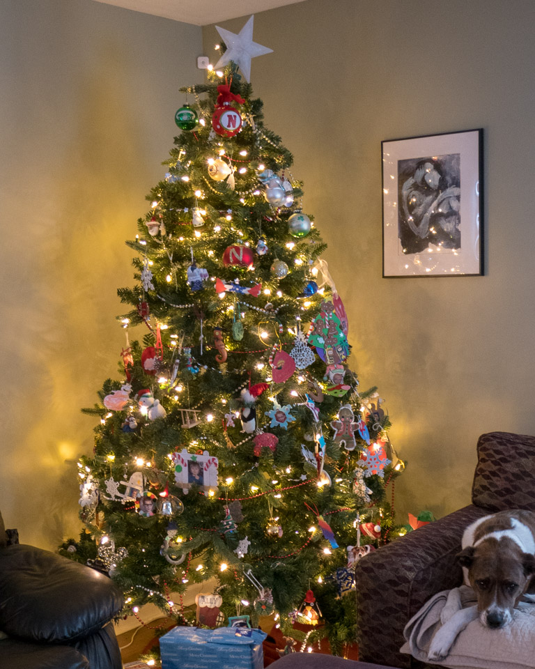 P1010735.jpg