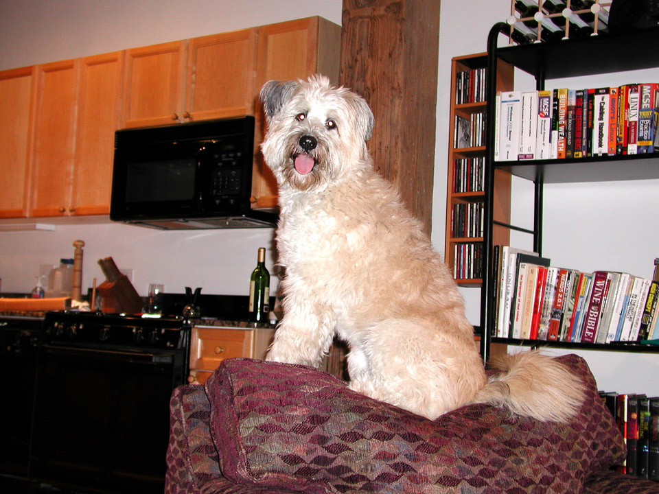 pc230037_260838089_o.jpg