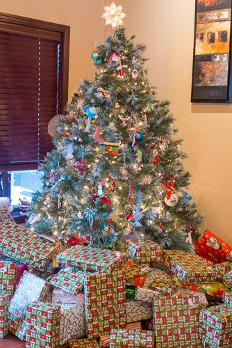 Christmas---New-Years-2015-US---IMG-1020469.jpg