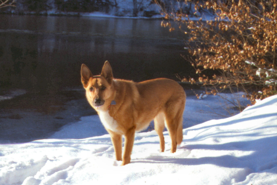 Sandra-sandra-in-snow-at-isar_259555156_o.jpg