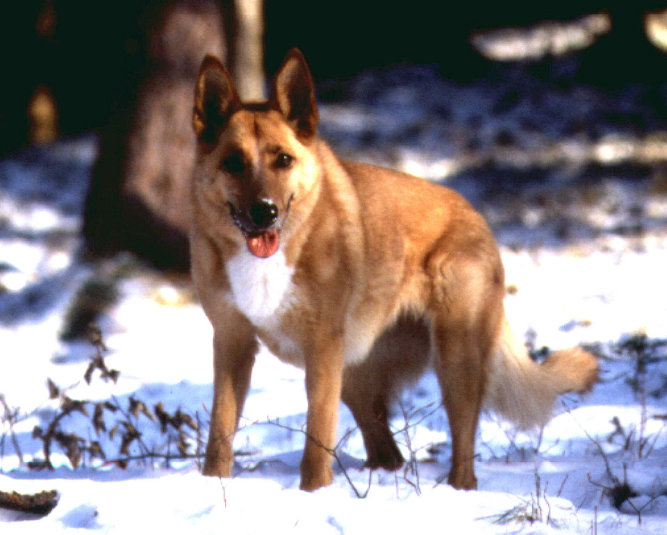 Sandra-sandra-smiling-in-snow_259550129_o.jpg