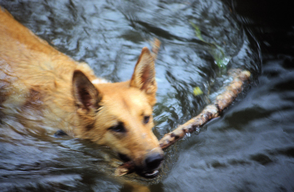 image25_1488192493_o.jpg