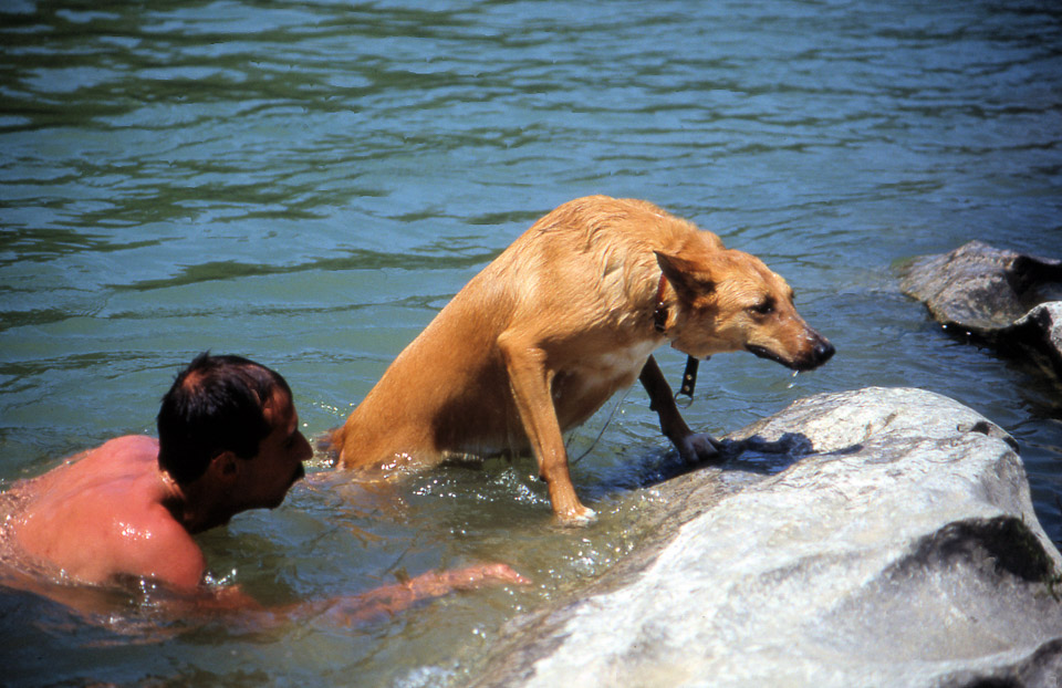 image25_1490255748_o.jpg