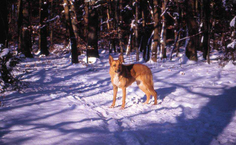 image32_1490373432_o.jpg