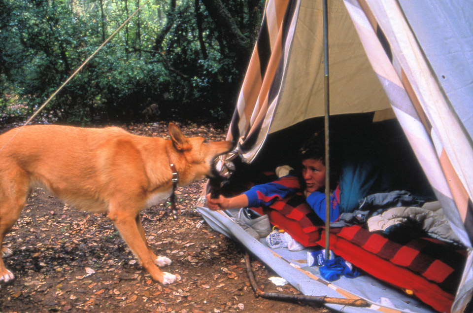 image8_1488967377_o.jpg
