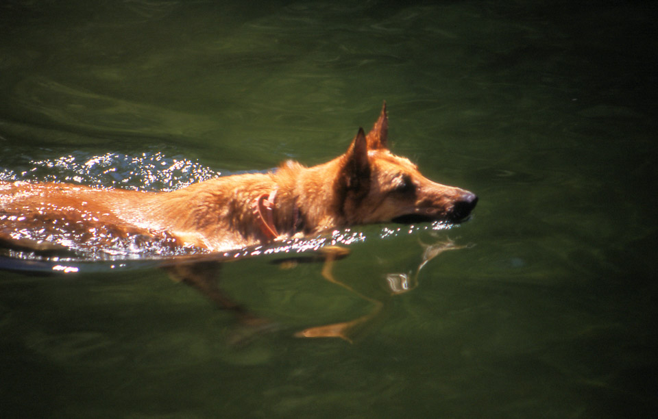 image8_1489568727_o.jpg
