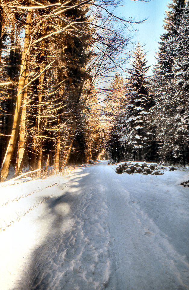 sandra-05_517756134_o.jpg