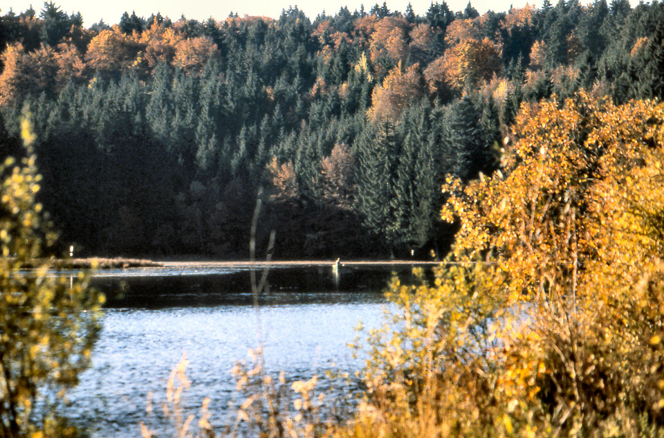 sandra-503_537109629_o.jpg