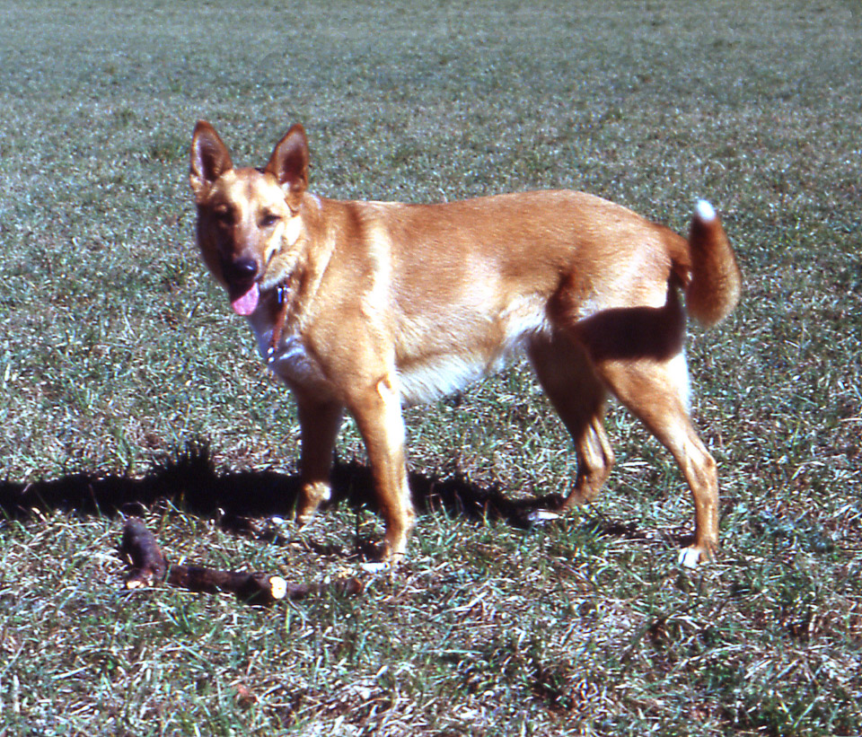 sandra-507_537115689_o.jpg