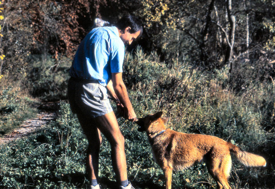 sandra-518_537015526_o.jpg
