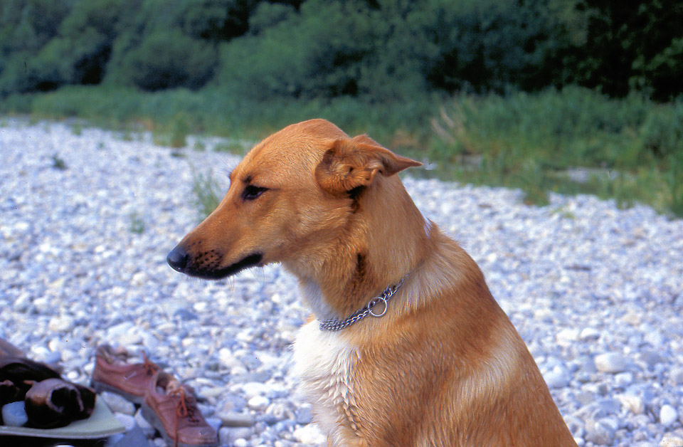 sandra-522_537139763_o.jpg