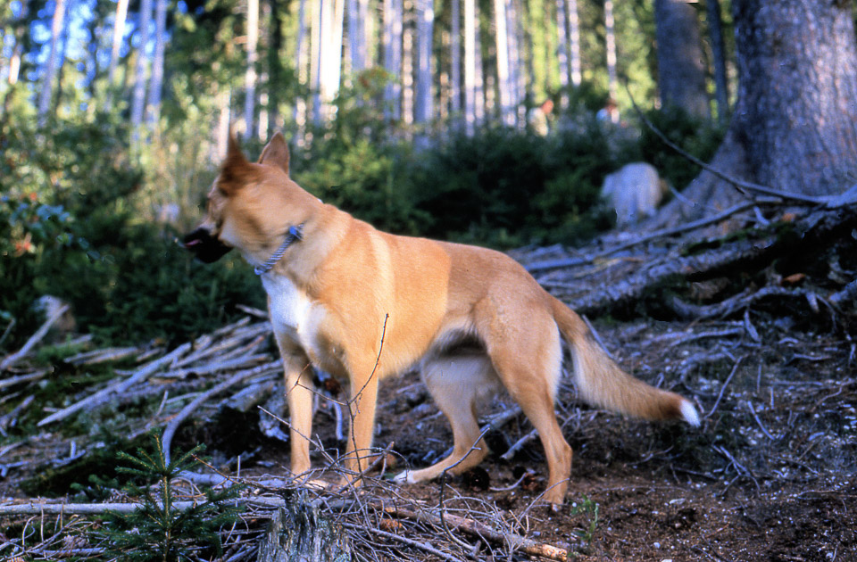 sandra-525_537031396_o.jpg