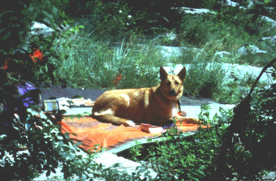 sandra-on-blanket-france_295492762_o.jpg