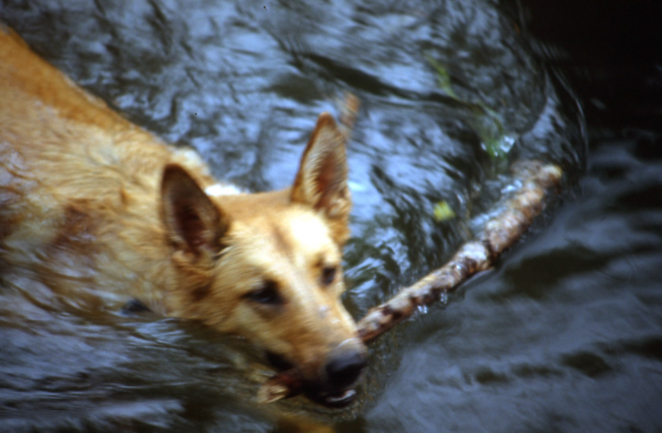 slide013_332567325_o.jpg