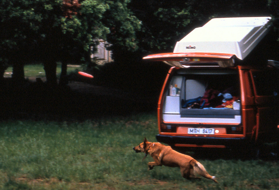 slide019_332568390_o.jpg