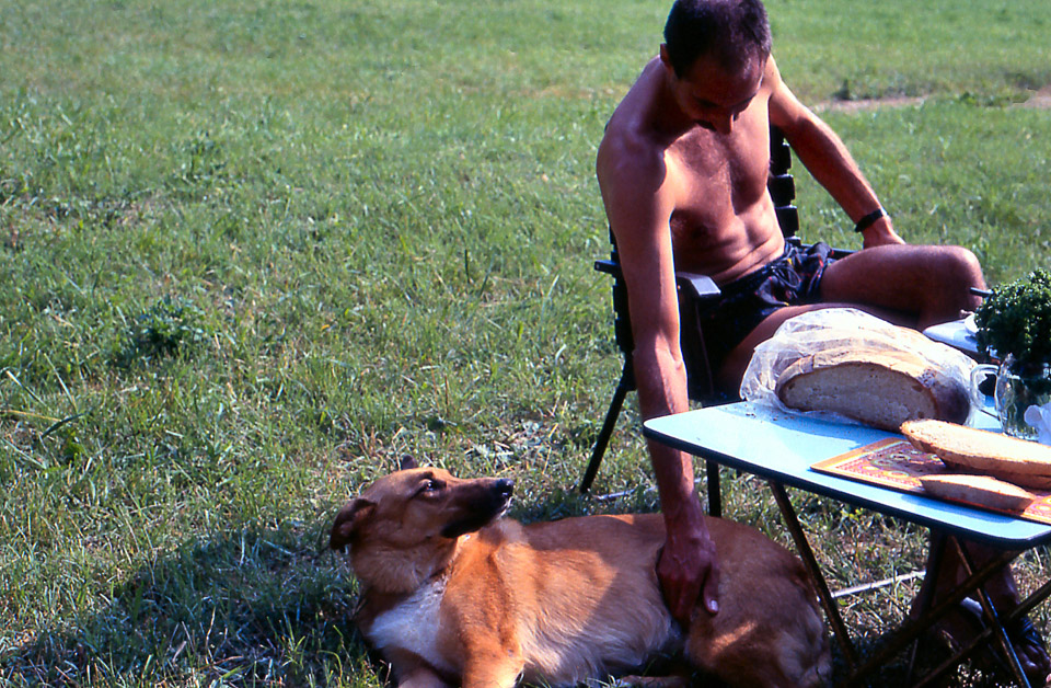 slide047_332574346_o.jpg