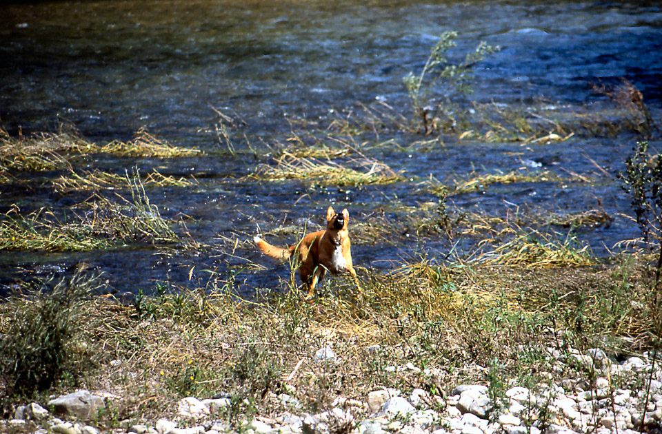 slide050_332576607_o.jpg