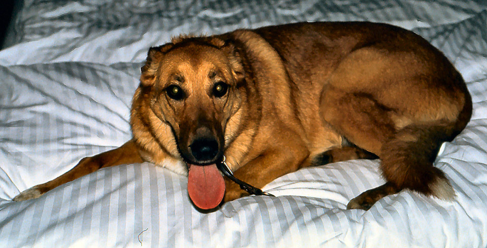 slide052_332577164_o.jpg