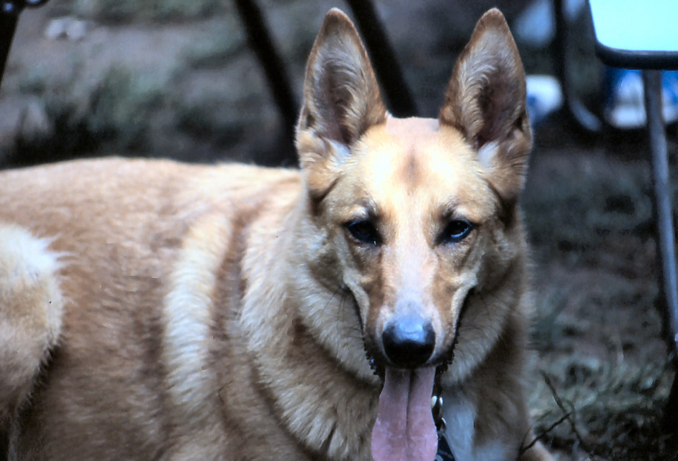 slide056_332577836_o.jpg