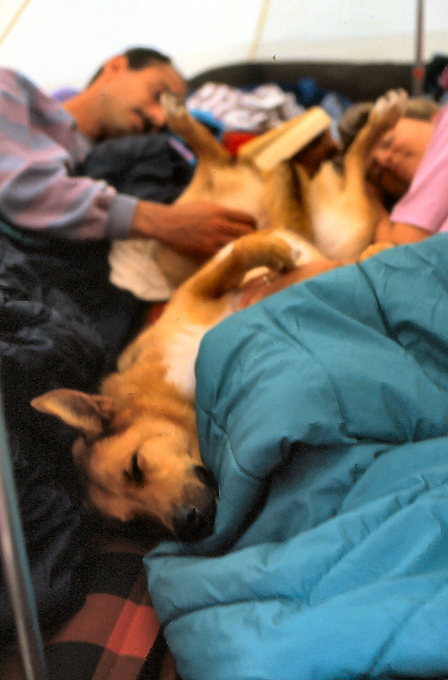 slide057_332578667_o.jpg