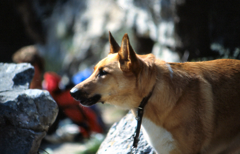 slide059_332580121_o.jpg
