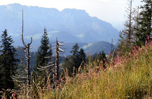 berchtesgaden--salzburg-wih-moomeys-scan-12_451987564_o.jpg