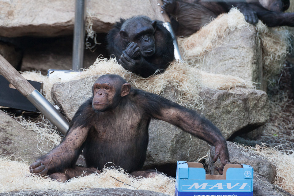 Tierpark-Hellabrunn-2014-IMG_7342.jpg