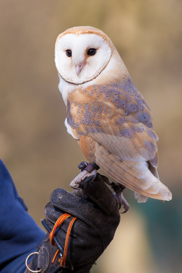Tierpark-Hellabrunn-2014-IMG_7377.jpg